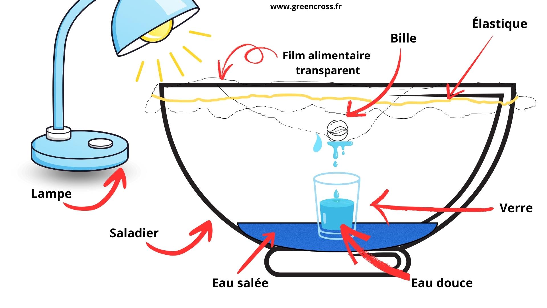 Comment Faire Pour Avoir Une Eau Salée Comme La Mer