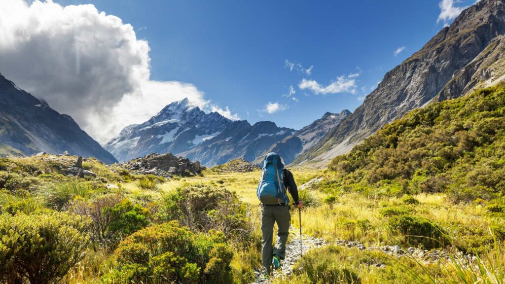 La biodiversité en Nouvelle-Zélande