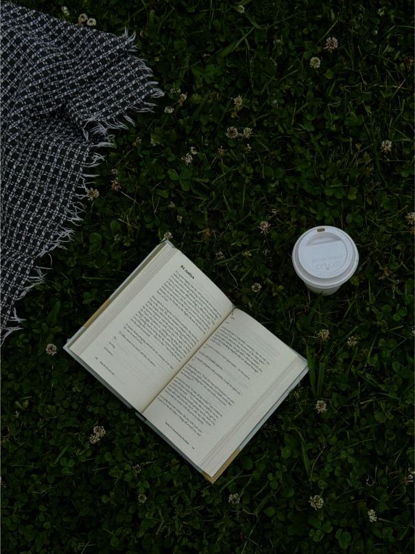 choisir fournisseur electricite verte